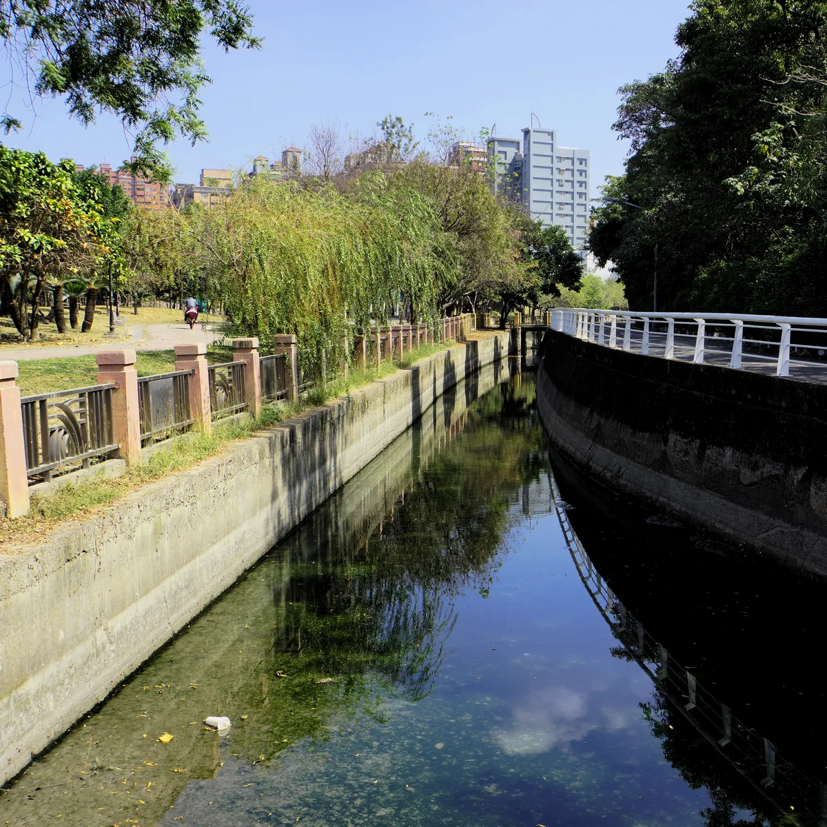 原生植物園旁曹公圳水道